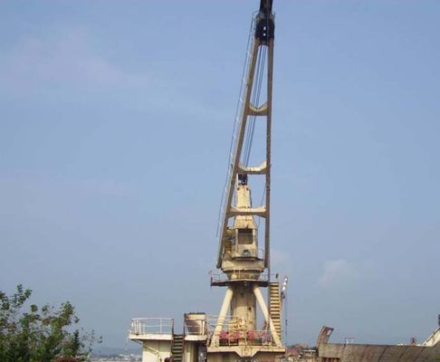 Crane galvanisée pour marine avec longueur personnalisable et inspection par un tiers pour les applications de chantier naval et de transport de vrac fournisseur